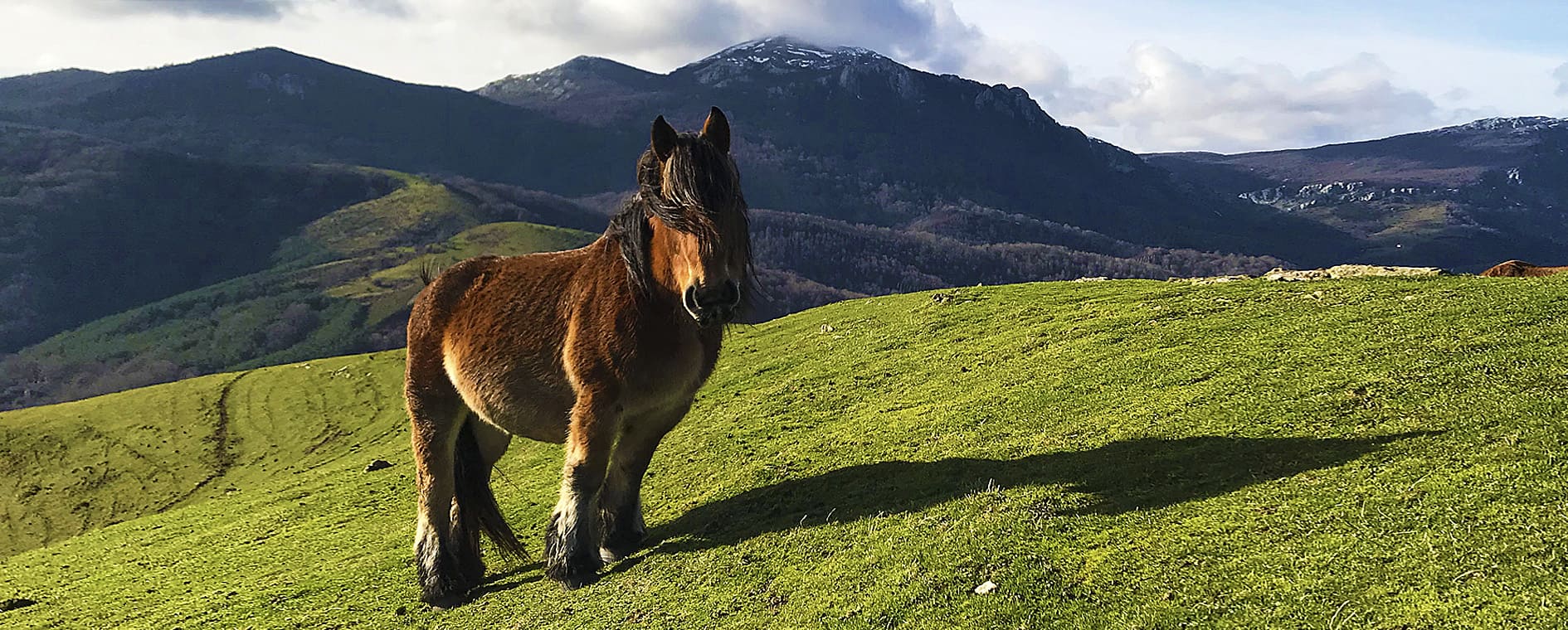 Basque Country: the perfect destination to enjoy your holidays